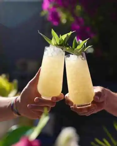 Premium Cocktail Service